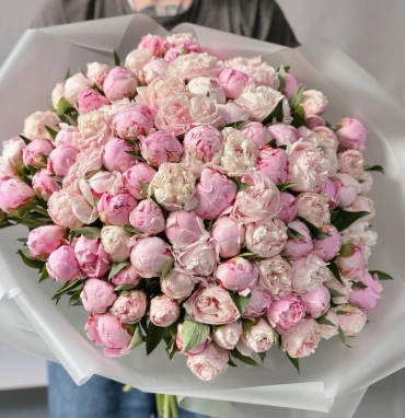 Пионы Сара Бернар 101