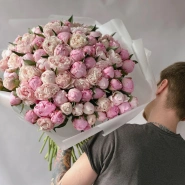 Пионы Сара Бернар 101 3