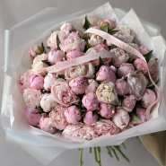 Пионы Сара Бернар 51 3