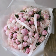 Пионы Сара Бернар 51 0