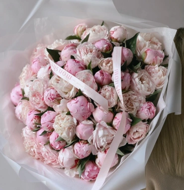 Пионы Сара Бернар 51