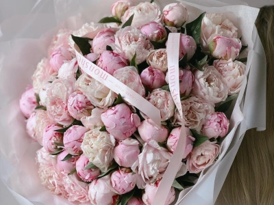 Пионы Сара Бернар 51