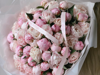 Пионы Сара Бернар 51