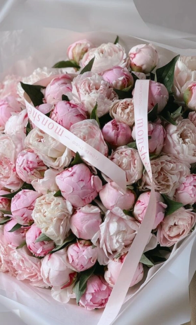 Пионы Сара Бернар 51