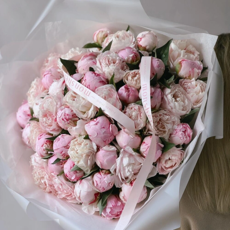 Пионы Сара Бернар 51