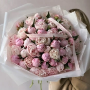 Пионы Сара Бернар 51 1