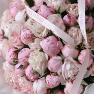 Пионы Сара Бернар 51 2