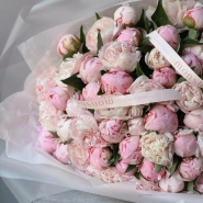 Пионы Сара Бернар 51 4