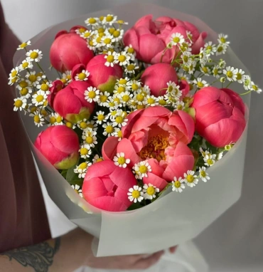 Букет с пионами Корал Шарм и ромашкой