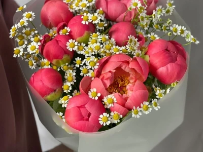 Букет с пионами Корал Шарм и ромашкой