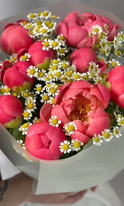 Букет с пионами Корал Шарм и ромашкой