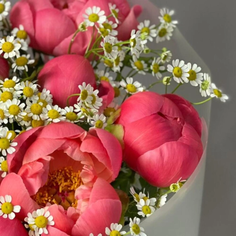 Букет с пионами Корал Шарм и ромашкой