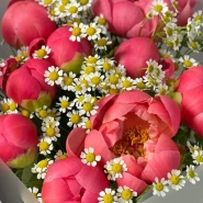 Букет с пионами Корал Шарм и ромашкой 3