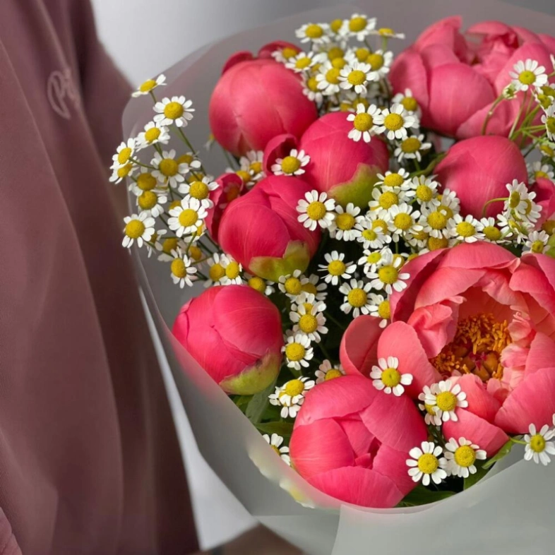 Букет с пионами Корал Шарм и ромашкой