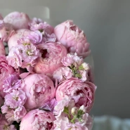 Пионы и ароматная маттиола 4