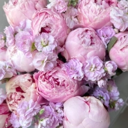 Пионы и ароматная маттиола 3