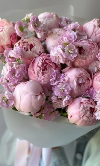 Пионы и ароматная маттиола