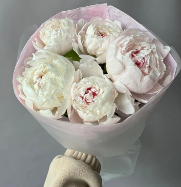 Белые пионы 5