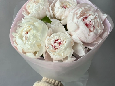 Белые пионы 5