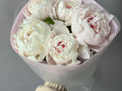 Белые пионы 5