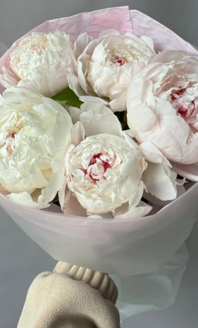 Белые пионы 5