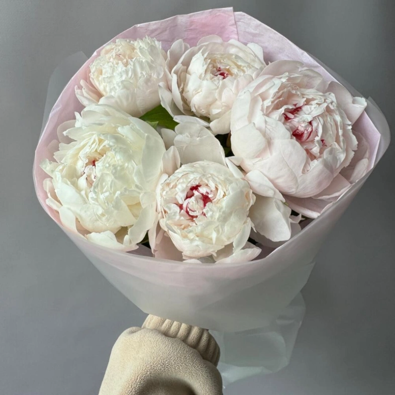 Белые пионы 5