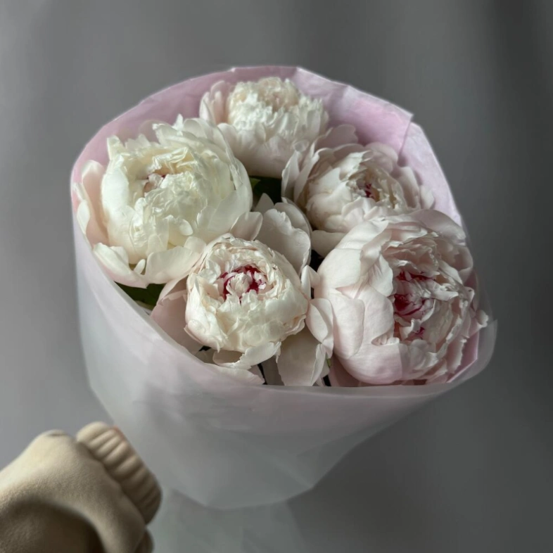 Белые пионы 5