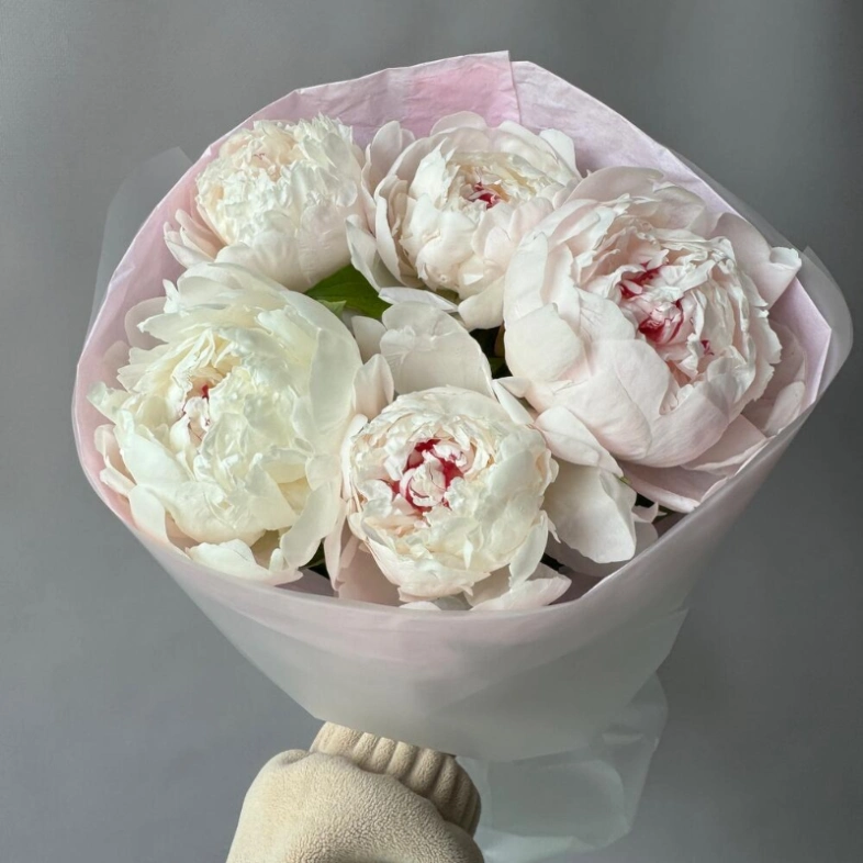 Белые пионы 5