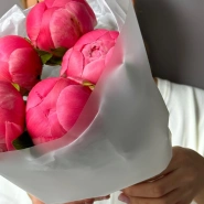 Пионы Coral Charm 5 3