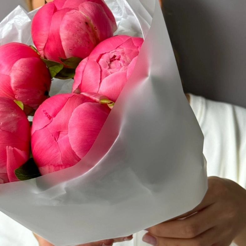 Пионы Coral Charm 5