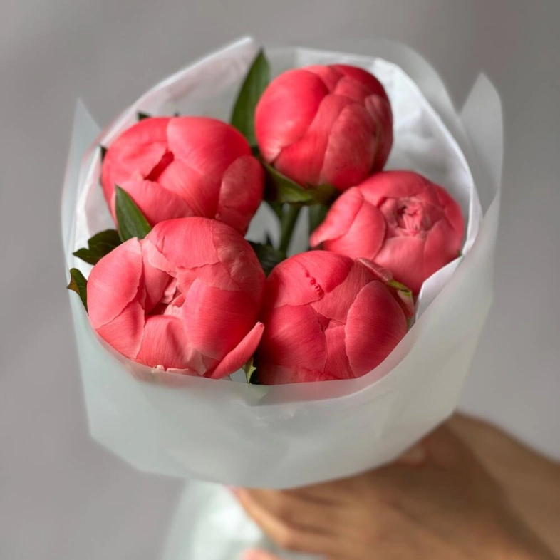 Пионы Coral Charm 5