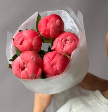 Пионы Coral Charm 5