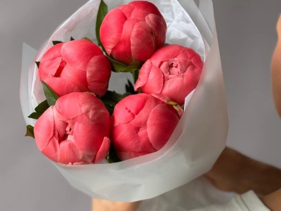 Пионы Coral Charm 5