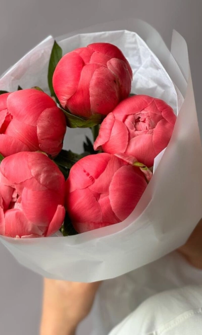 Пионы Coral Charm 5