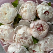 Белые пионы 9 3