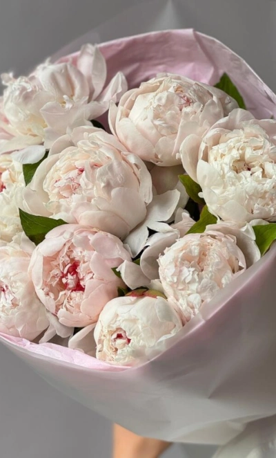 Белые пионы 9