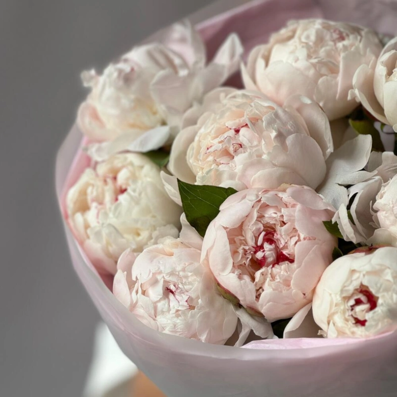 Белые пионы 9