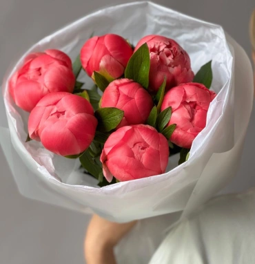 Пионы-гиганты Coral Charm 7