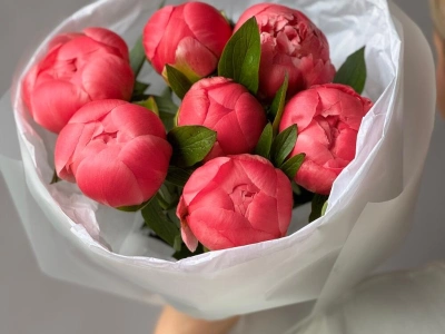 Пионы-гиганты Coral Charm 7