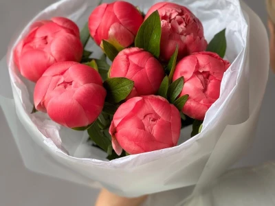 Пионы-гиганты Coral Charm 7