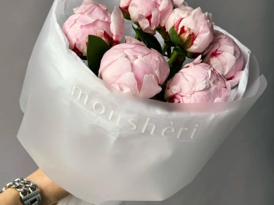 Моно букет пионы Сара Бернар 7