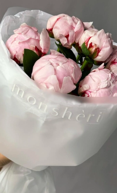 Моно букет пионы Сара Бернар 7