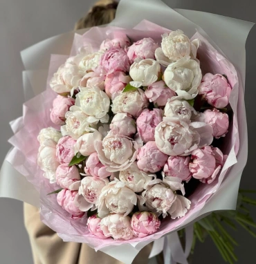 Монобукет Пион Сара Бернар 41