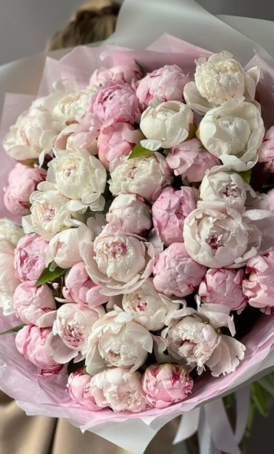 Монобукет Пион Сара Бернар 41