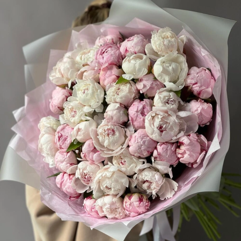 Монобукет Пион Сара Бернар 41