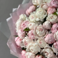 Монобукет Пион Сара Бернар 41 2