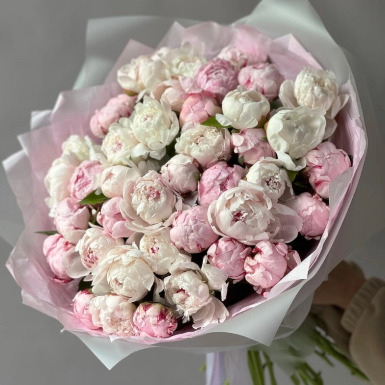 Монобукет Пион Сара Бернар 41