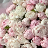 Монобукет Пион Сара Бернар 41 3