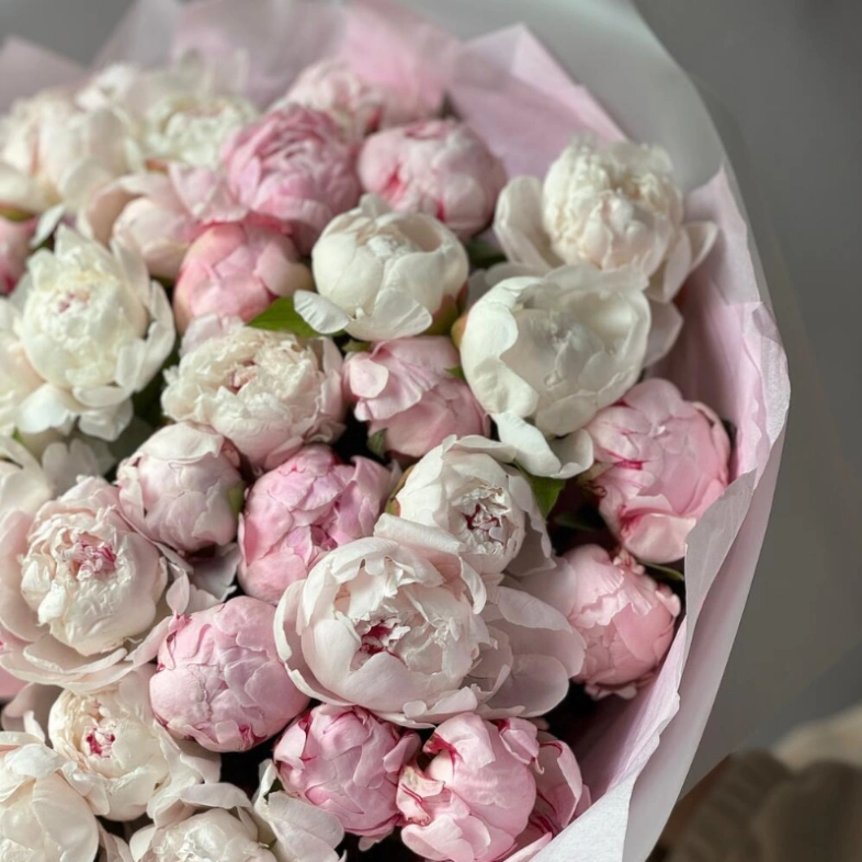 Монобукет Пион Сара Бернар 41