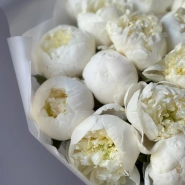 Монобукет белоснежные пионы 23 3